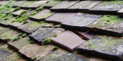 Stoneycroft roof repair costs